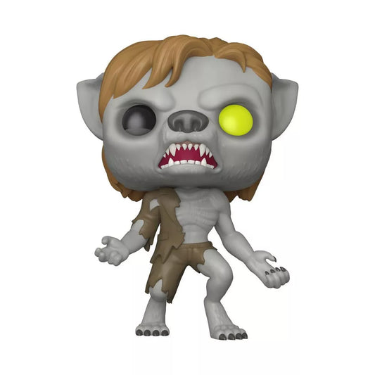 Funko POP Remus Lupin as Werewolf scratched box detail