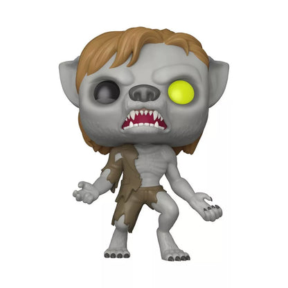 Funko POP Remus Lupin as Werewolf scratched box detail